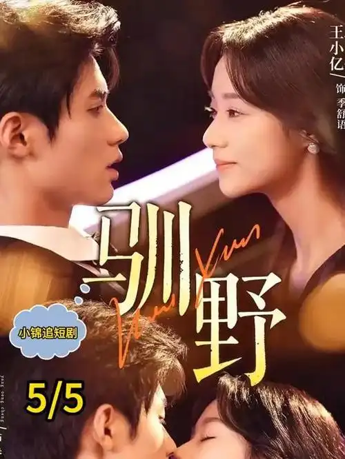 治愈爱情剧旧唱片与你海报